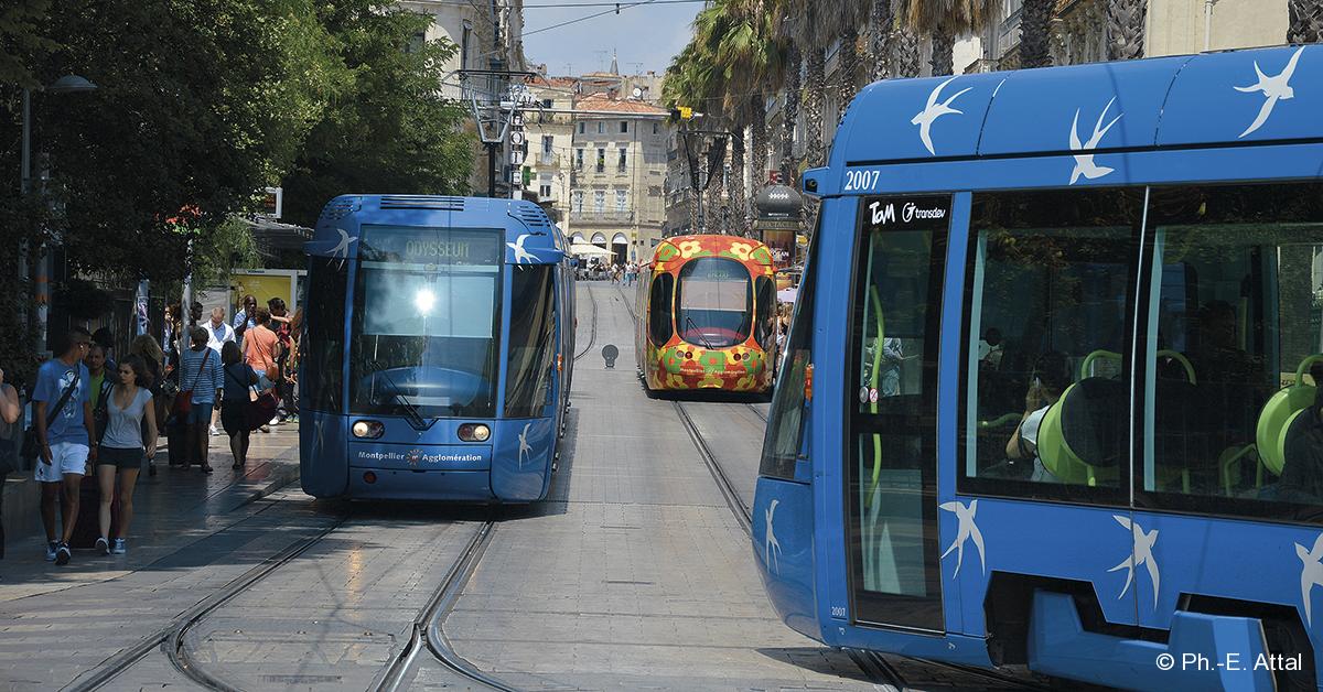 Collision de trams à Montpellier