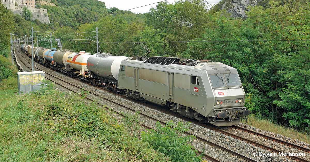 © Sylvain Meillasson