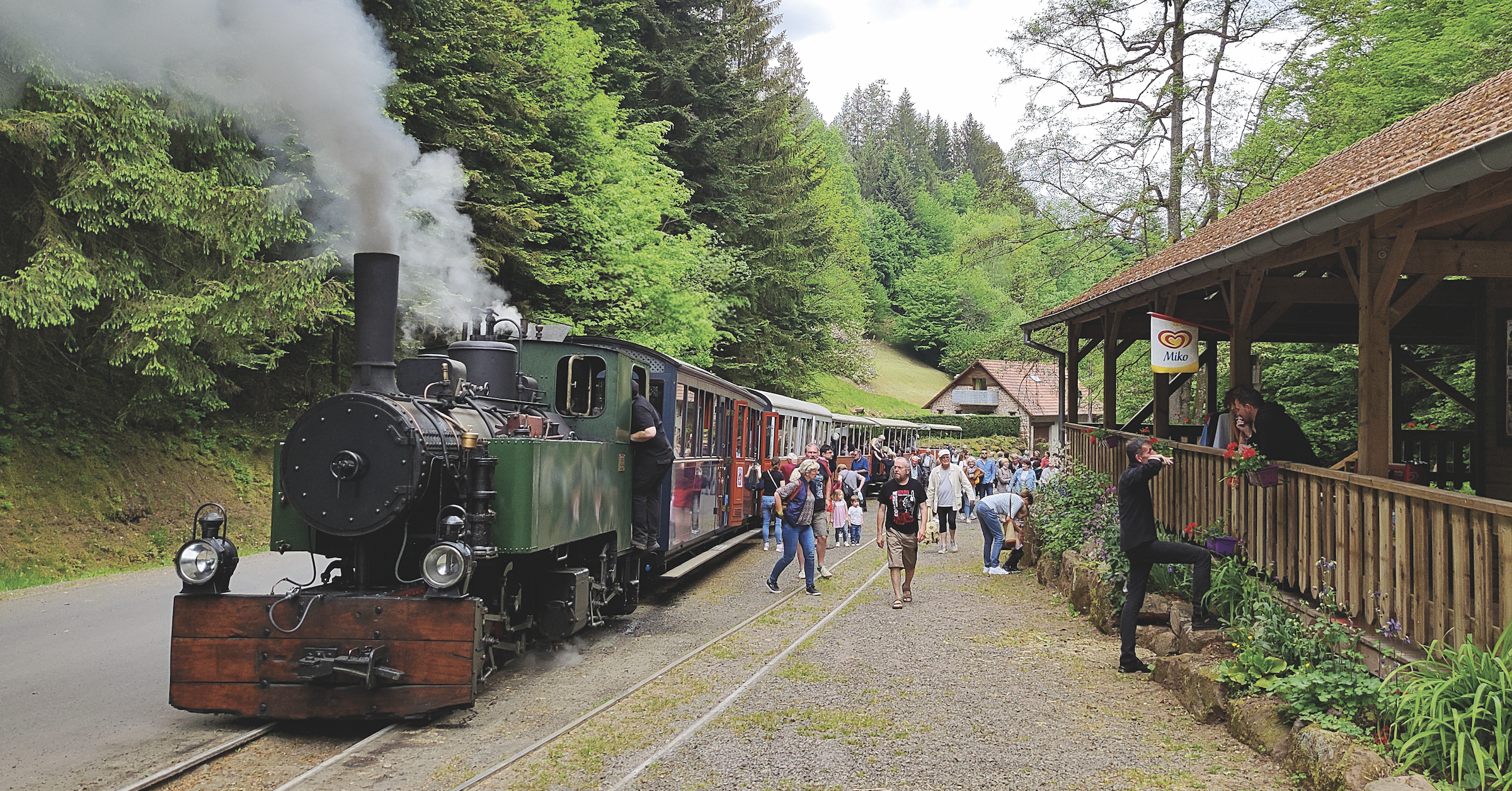LES TRAINS TOURISTIQUES