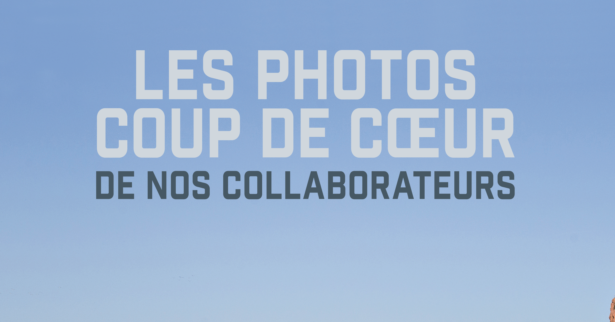 Les photos coup de cœur de nos collaborateurs