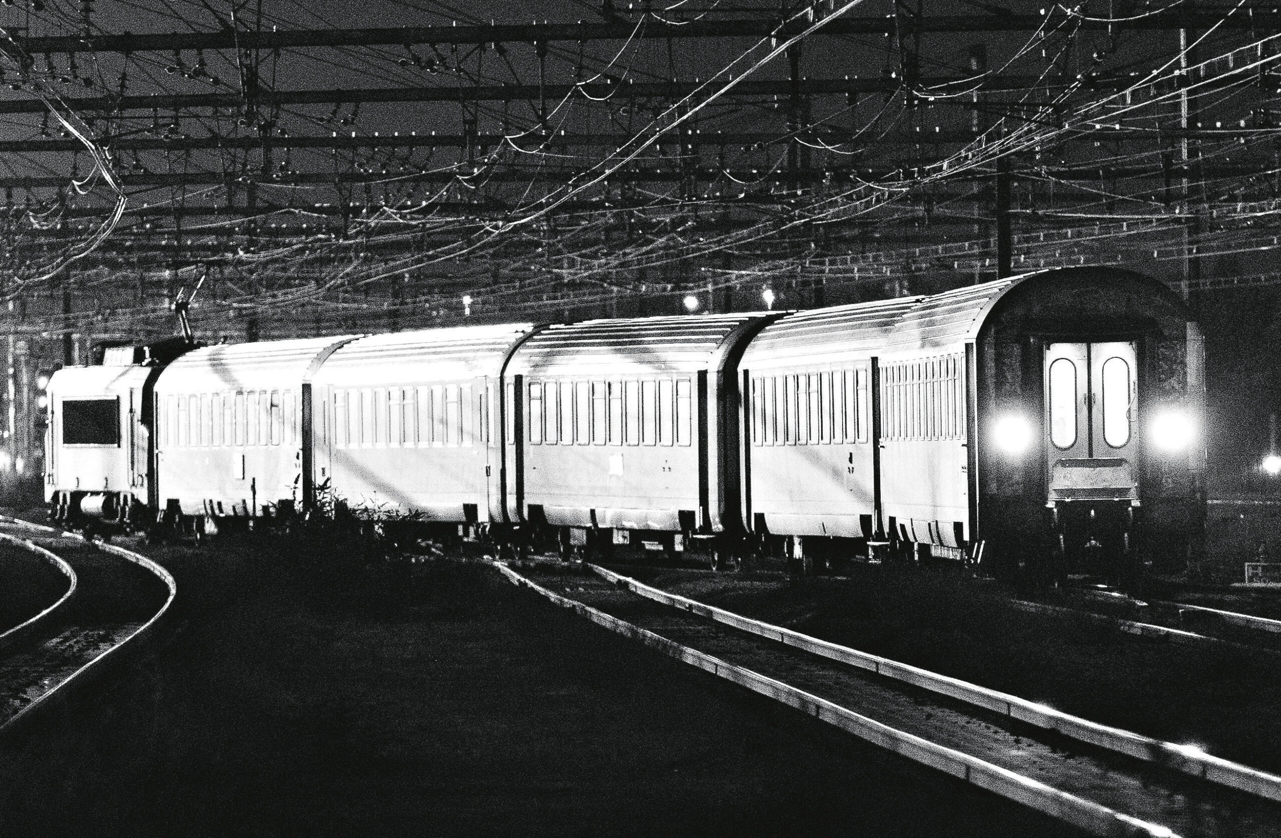 Tranches de vie : CORAIL ÉTERNITÉ, par Baptiste Lamas