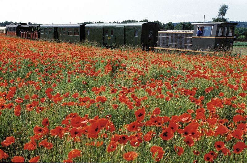 Le guide 2012 des trains touristiques