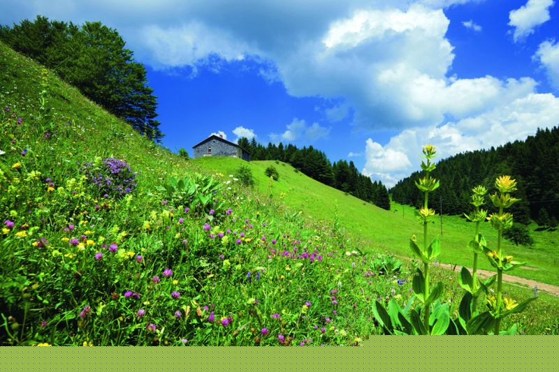 De Mandeure à Culoz, grandes traversées du Jura au départ des gares